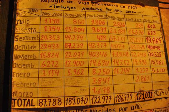 Registro com contagem de tartarugas na Reserva del Flor, em San Juan del Sur, na Nicarágua